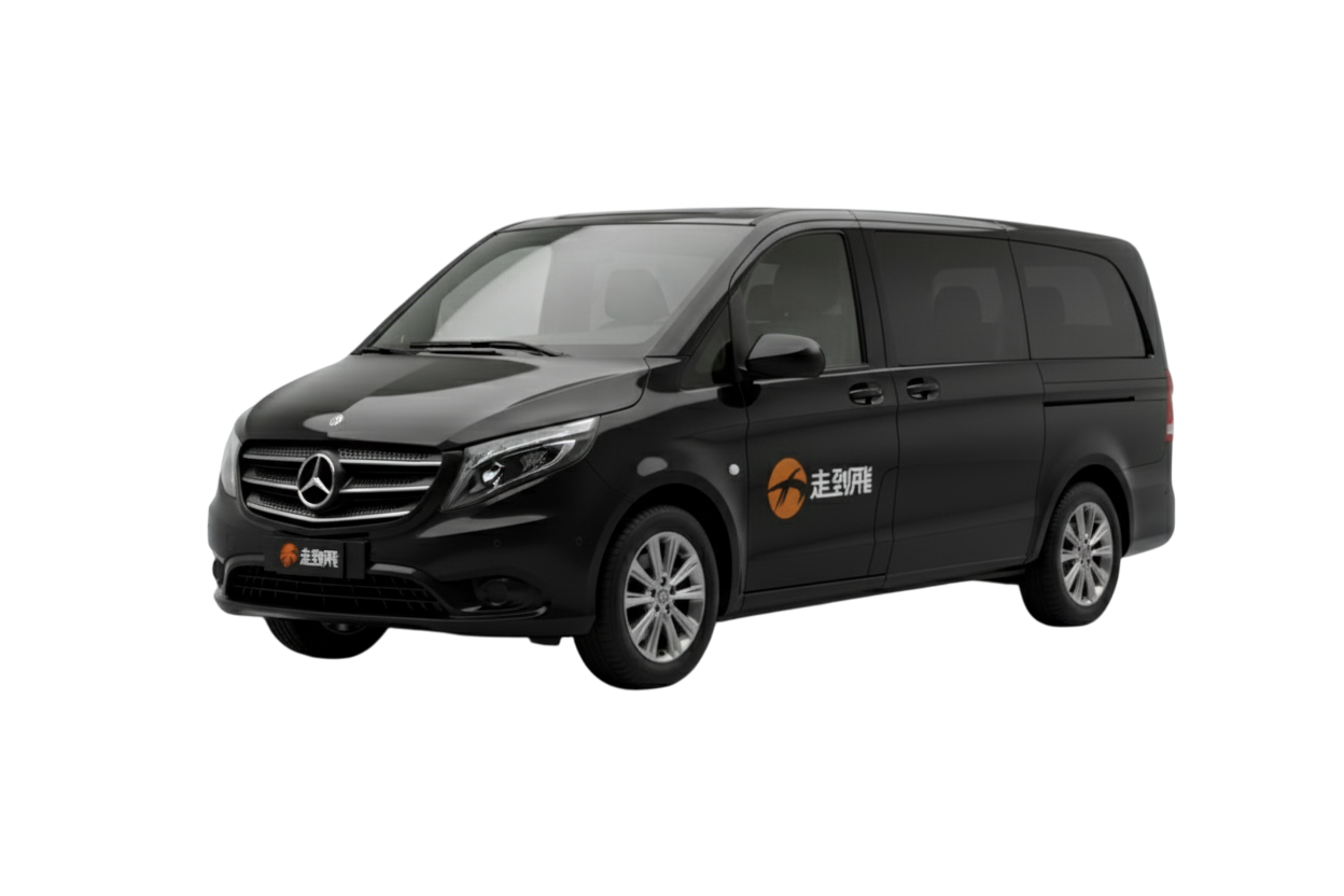 BENZ V250D